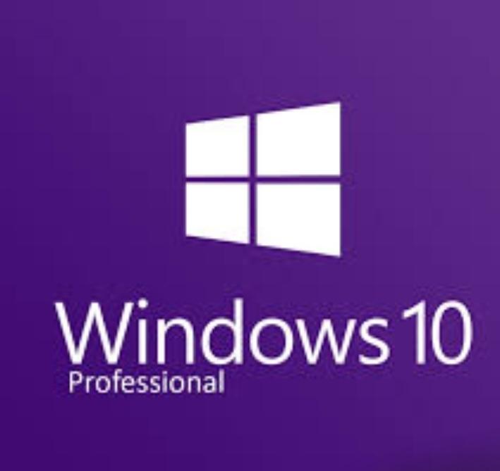 Microsoft Windows 7 Professional - 1 PC (Lifetime)