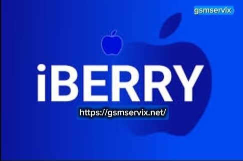 iBerry - iPad (8th Gen) Passcode Bypass Full Signal iOS17-27